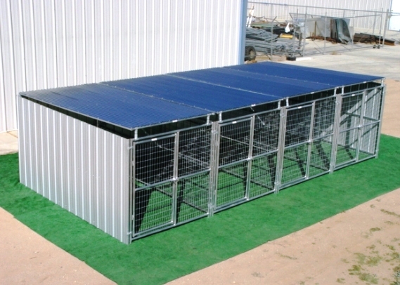 large dog kennel outdoor