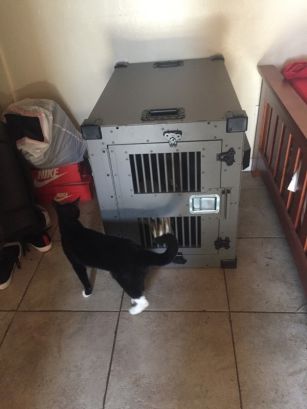 Alan_D_heavy duty dog crate testimonial photo