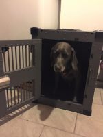 Heavy Duty Dog Crate High Anxiety from CarryMyDog.com