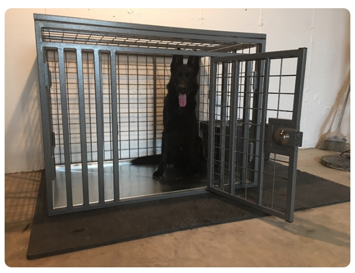 super large dog kennel